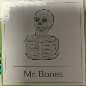 Mr. bones Brand New scentsy warmer inbox